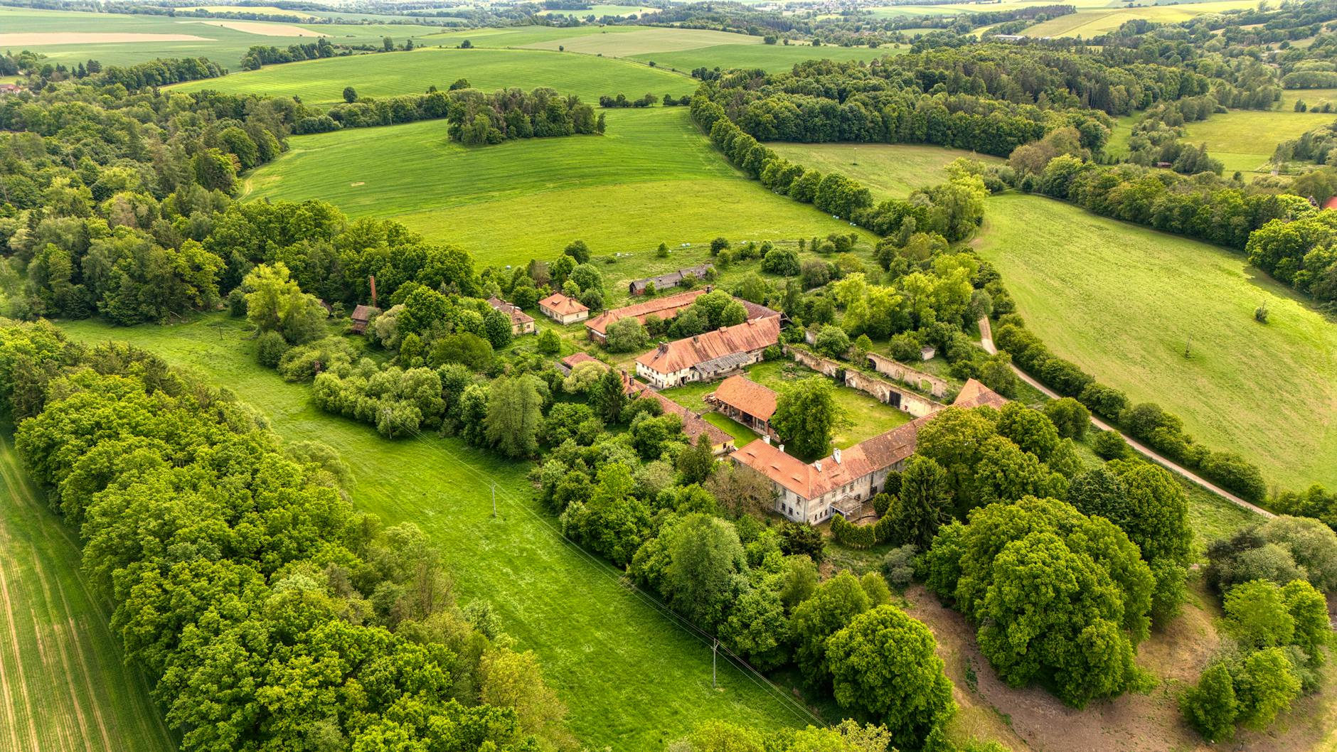 Malowniczy krajobraz Borów Tucholskich z lasami i jeziorem, inspirujący do snucia legend.